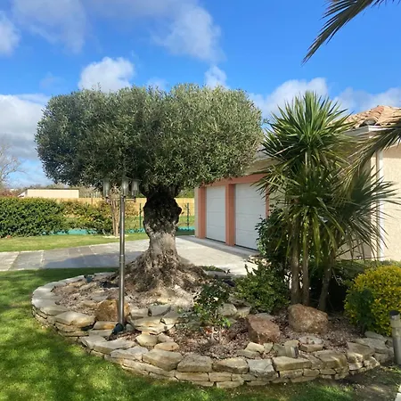L'olivier Tropical Villa