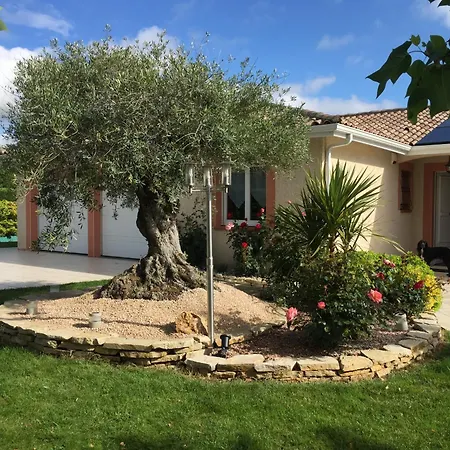 Villa L'olivier Tropical