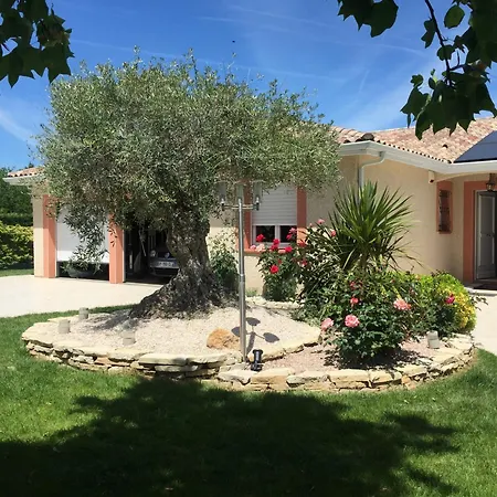 L'olivier Tropical Villa